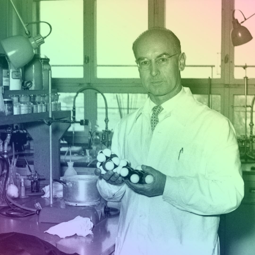 Hofmann%20Rainbow
